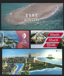 《宜华集团》宣传片